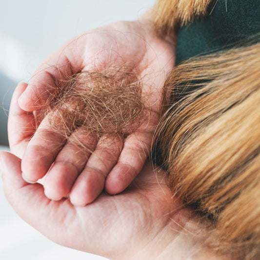How To Stop Hair Extensions from Shedding