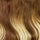 Chestnut Bronde Balayage 