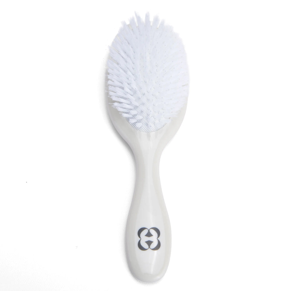 Bristle Hairbrush
