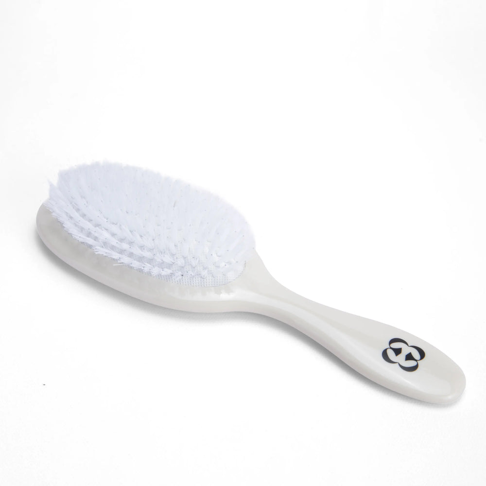 Bristle Hairbrush