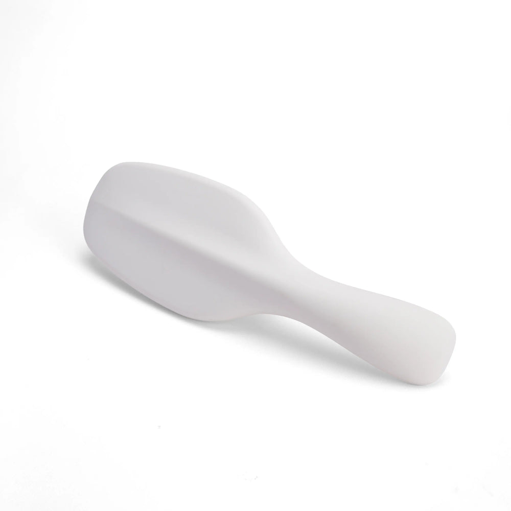 Detangling Hairbrush