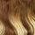 chestnut bronde balayage color snippet