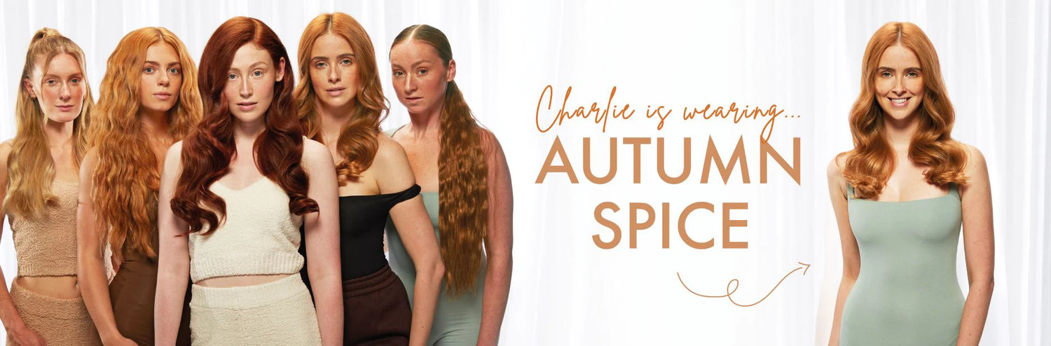 autumn spice desktop banner