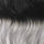 #t1b/sg color snippet