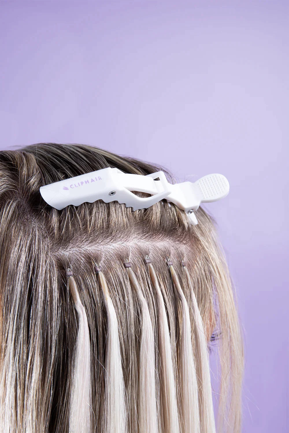 Alligator clips infographics